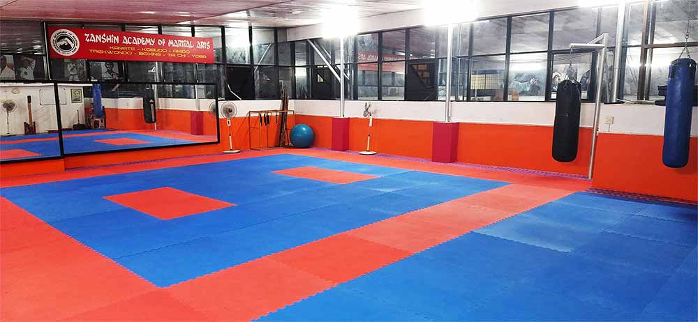 Zanshin Academy dojo area